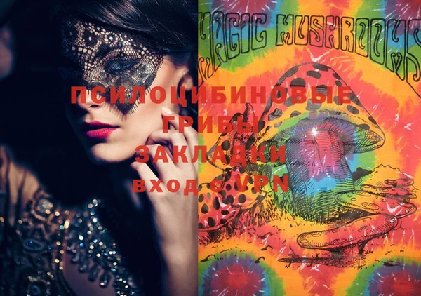 индика Пролетарск