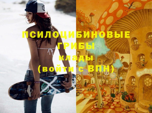 индика Пролетарск