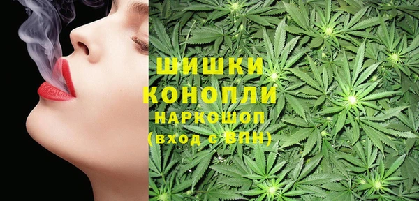 индика Пролетарск